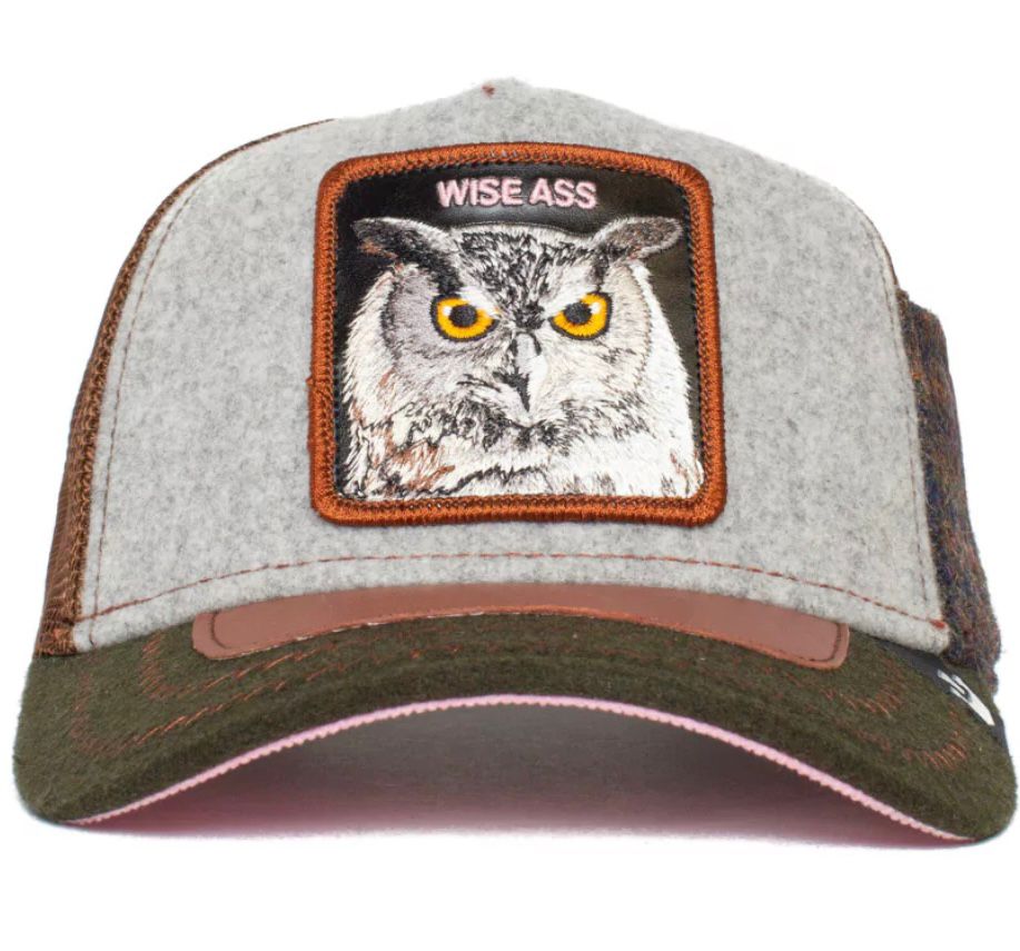WISE ASS
