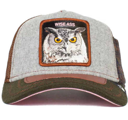 WISE ASS