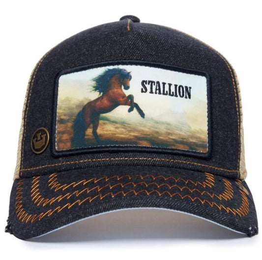 STALLION